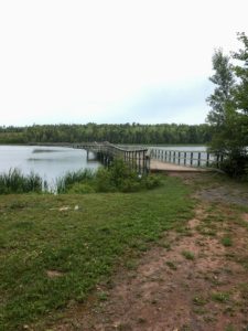 Bridge over MacLure's Pond, at the Former Eagles View Golf Course
